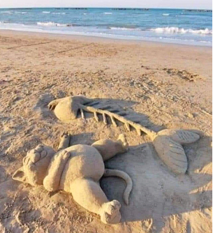 Art in Sand